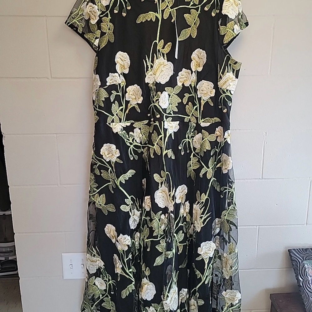 Long Tall Sally Black Dress with White and Green Floral Design